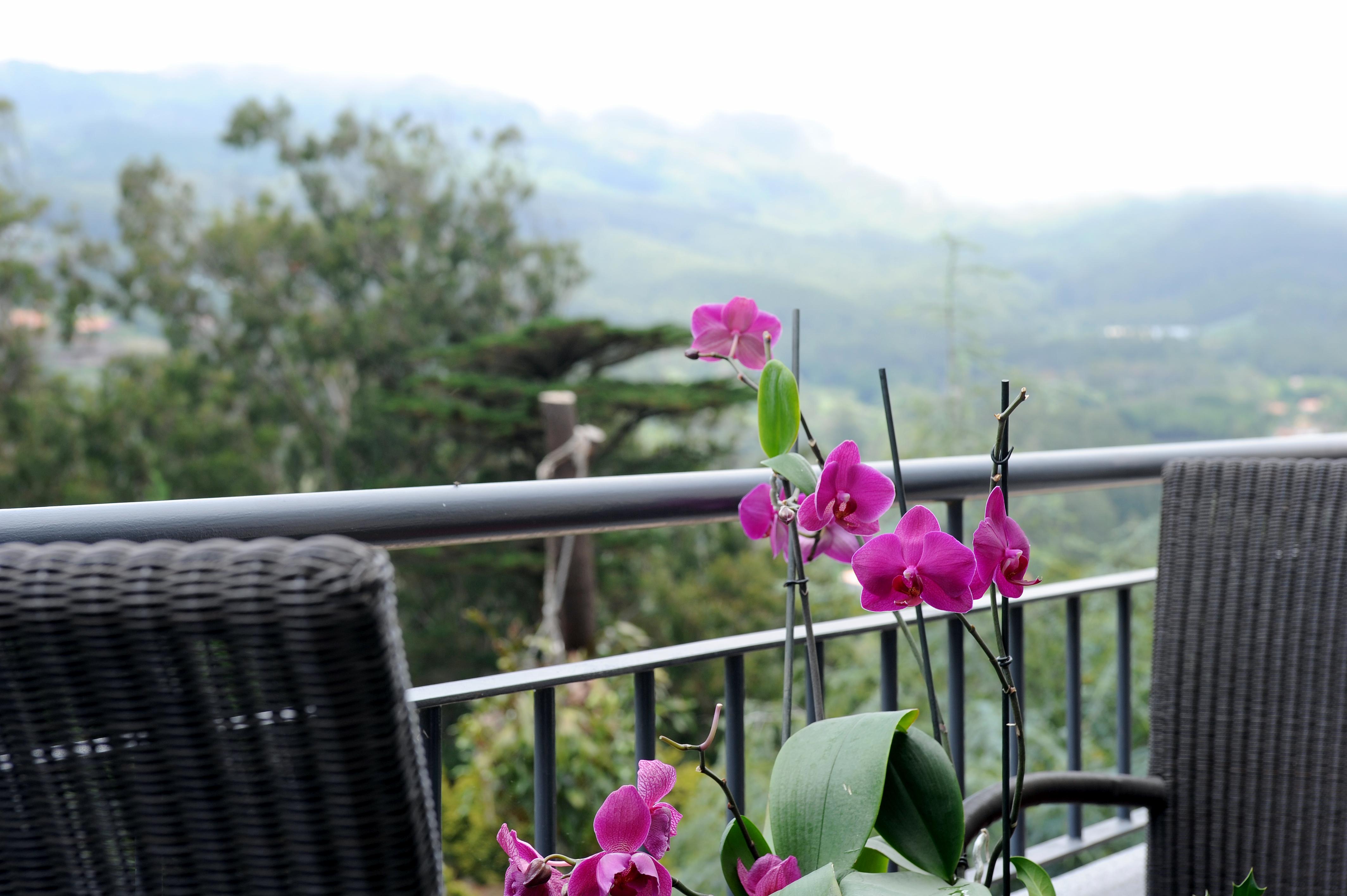 Quinta Da Cova Do Milho Otel Santo Antonio da Serra Dış mekan fotoğraf