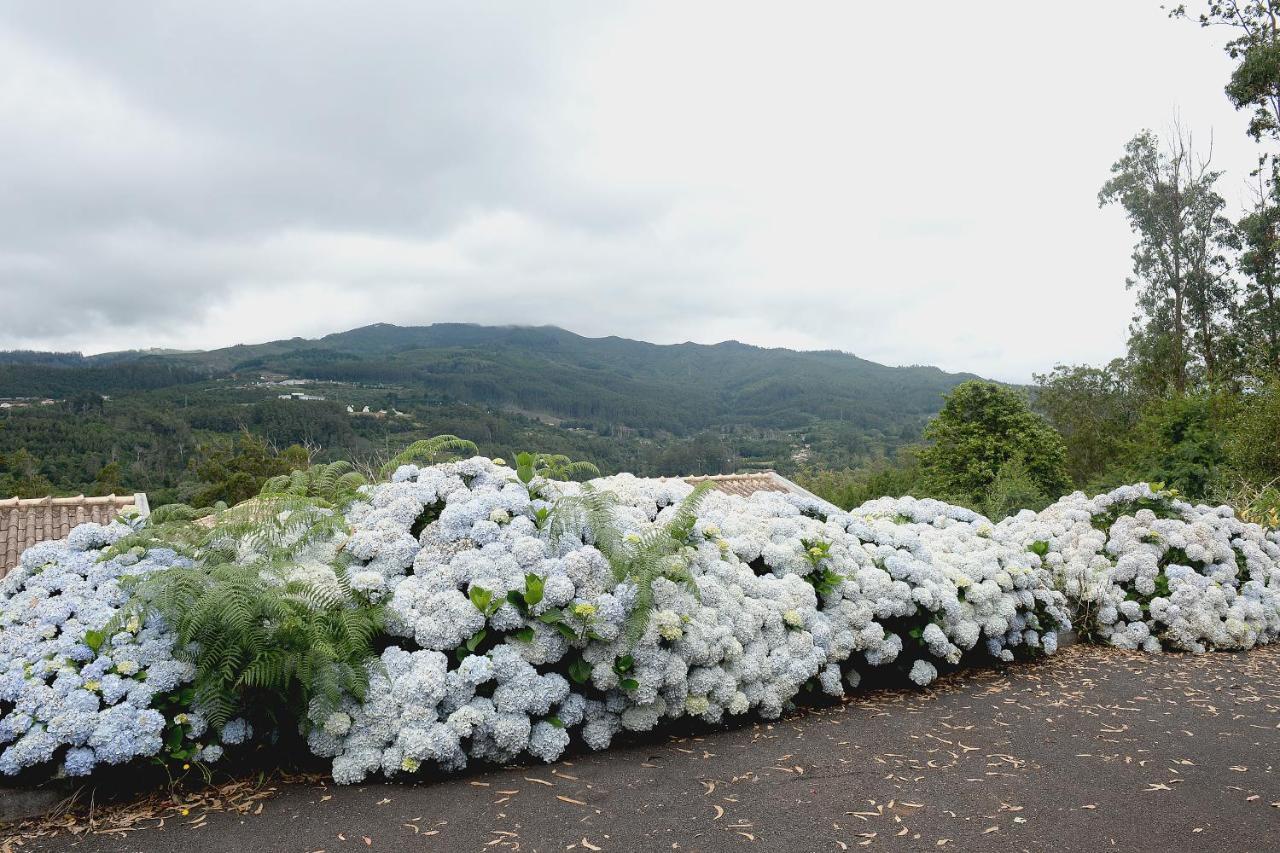 Quinta Da Cova Do Milho Otel Santo Antonio da Serra Dış mekan fotoğraf
